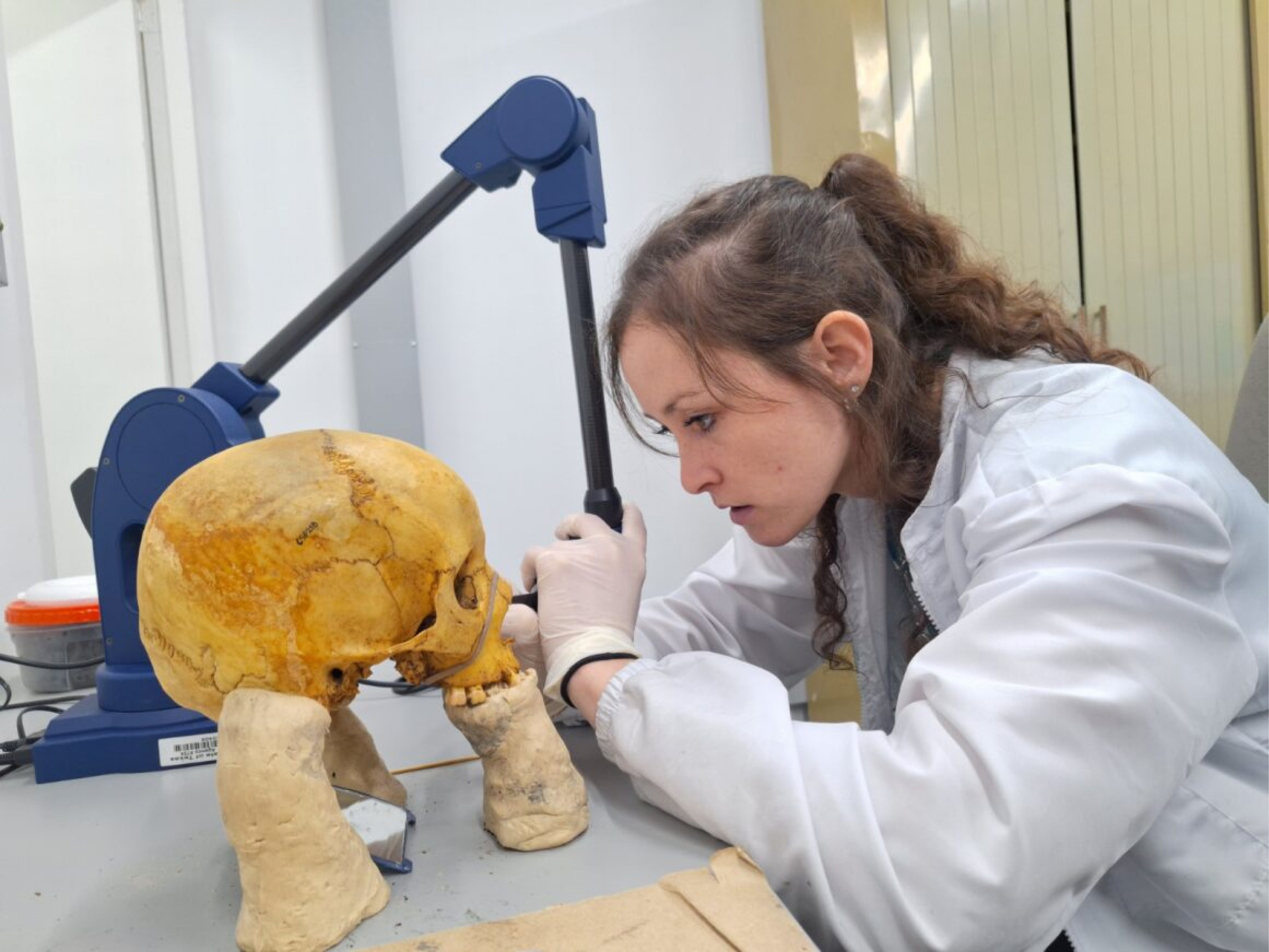 Colección osteológica de la U. de A. ayudará a identificar la procedencia de restos óseos de migrantes