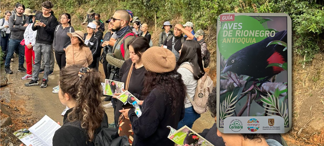 web-Rionegro-ya-cuenta-con-guía-para-avistamiento-de-aves