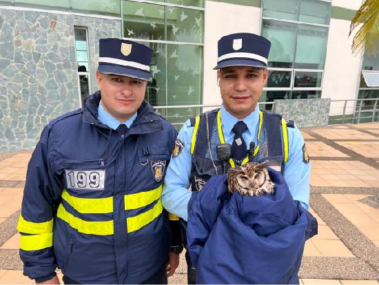 web-buho-agentes-de-transito