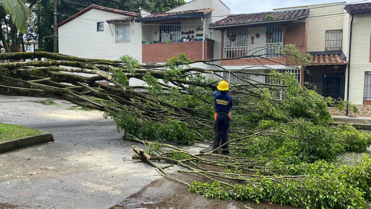 WhatsApp Image 2024-07-10 at 12.13.51 PM