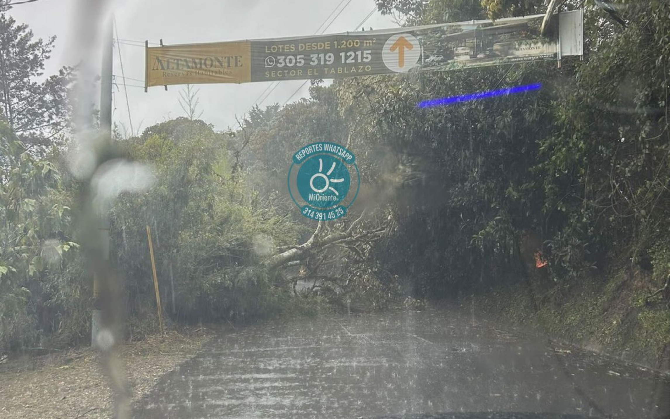Árbol se desplomó y cerró vía de El Tablazo tras nuevas lluvias en Rionegro