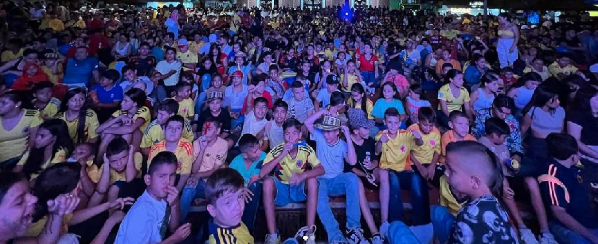 web-comercio-copa-america-fenalco