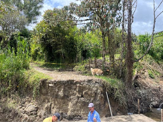 web-intervencion-via-la-chapa-el-carmen