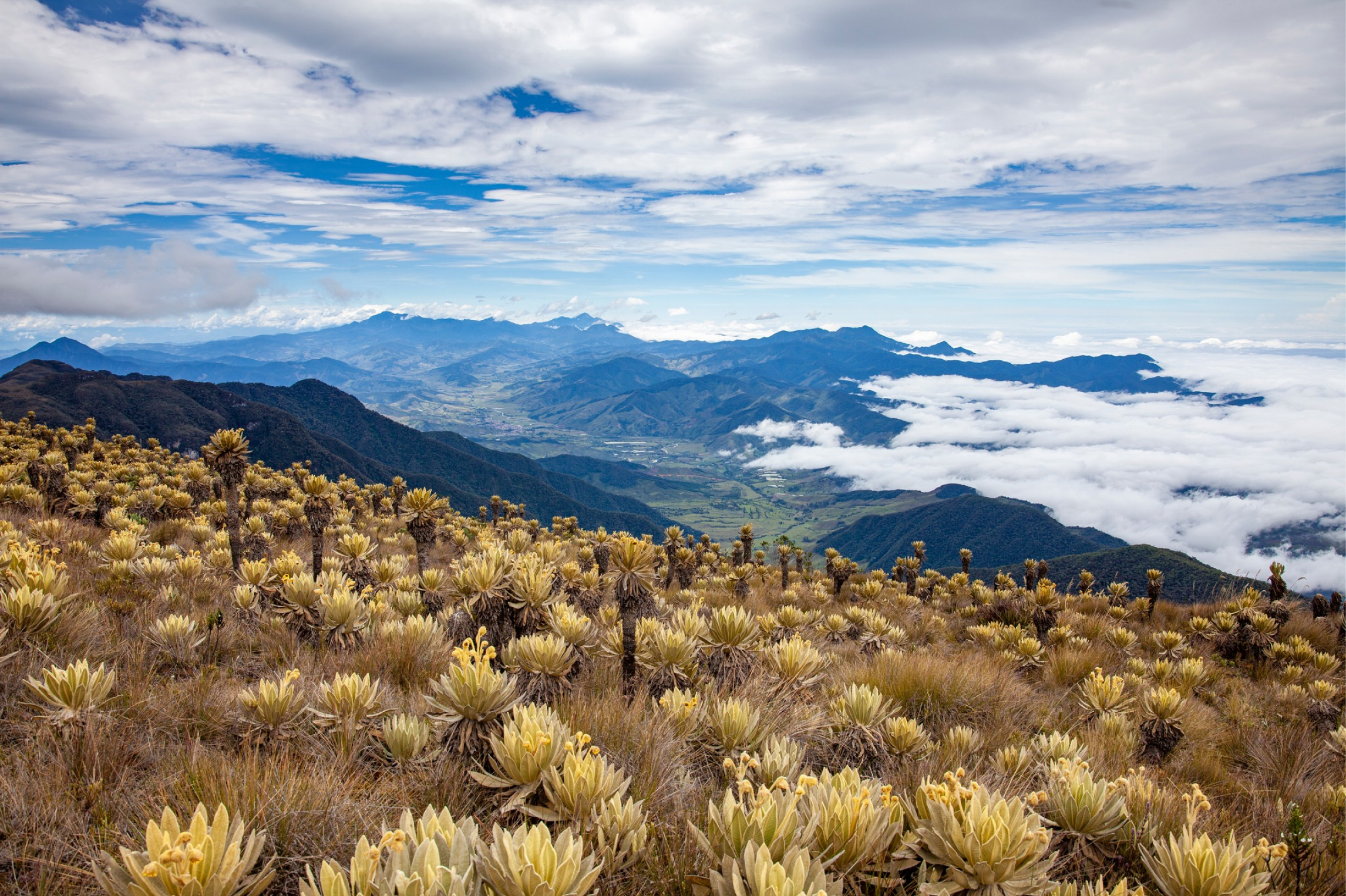 web-parano-del-sol-antioquia-turismo
