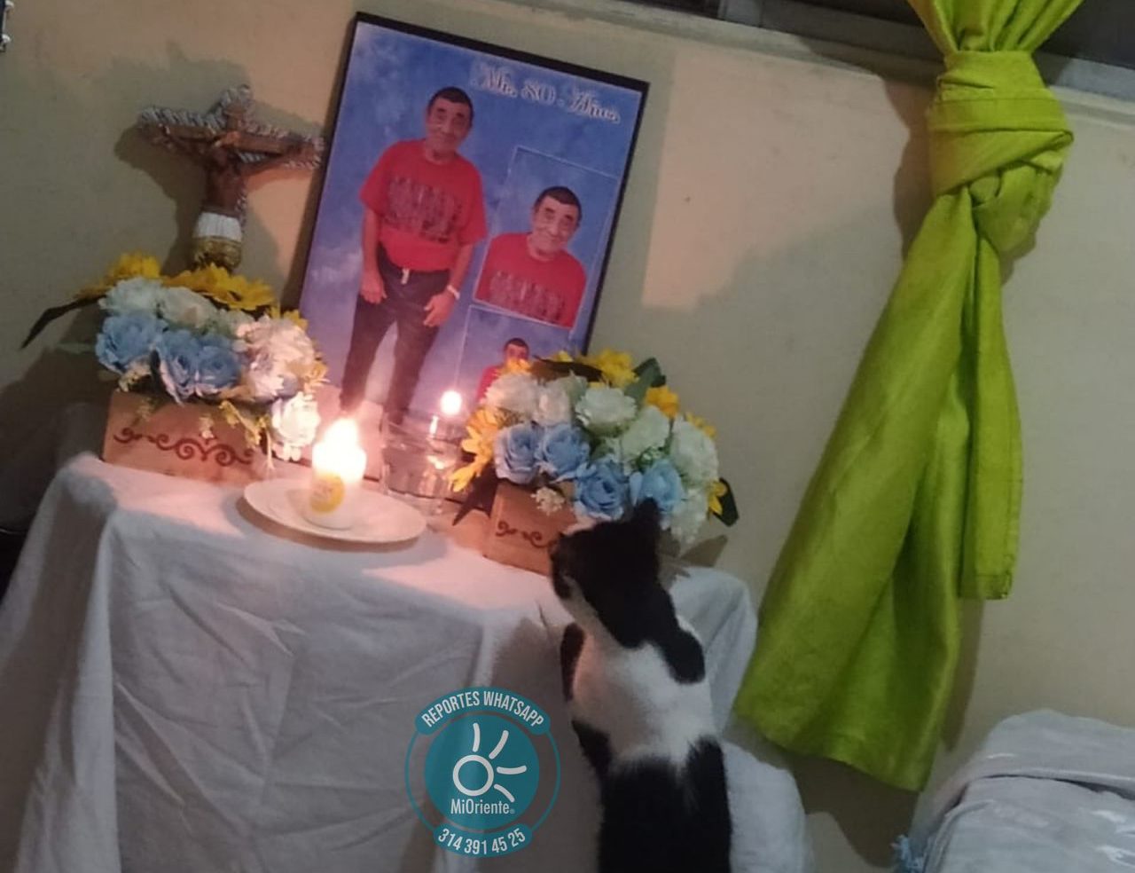 WhatsApp Image 2024-08-04 at 4.20.37 PM