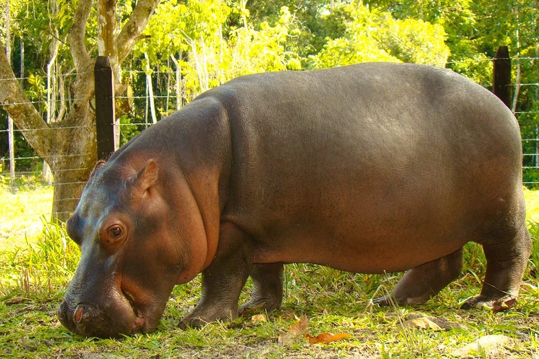 WhatsApp-Image-2024-08-18-at-11.38.54-AM