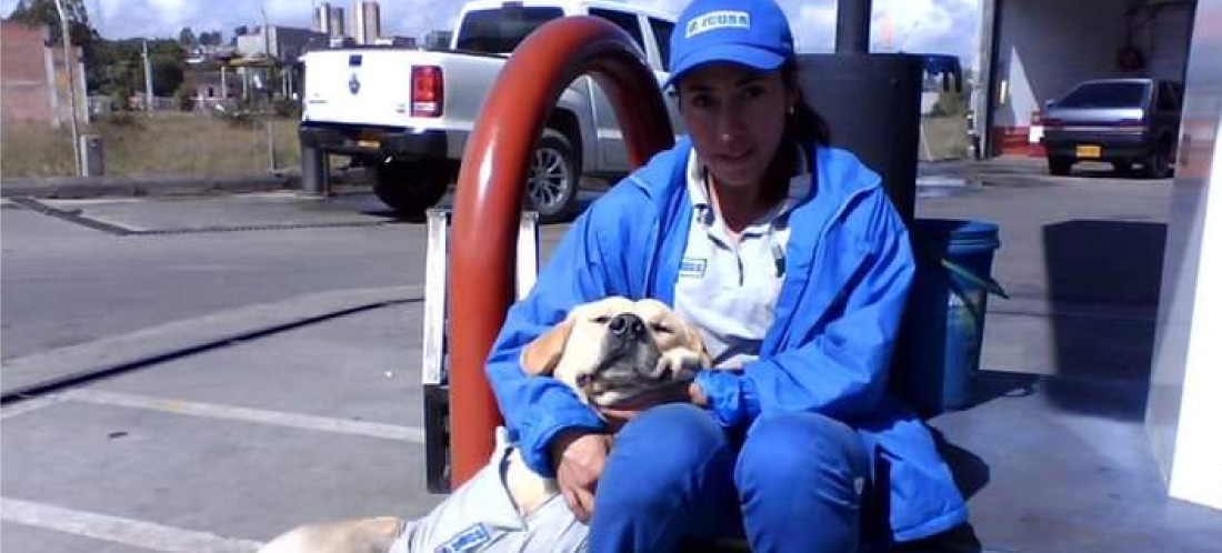 web-perrito-zeus-rionegro