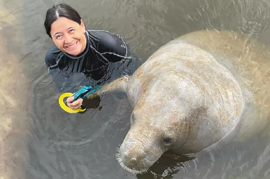 Bióloga colombiana nominada a prestigioso premio por su labor en conservación animal