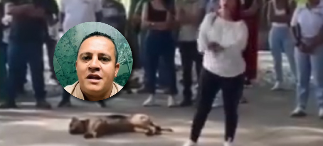 “Ofrezco disculpas”: Alcalde de La Pintada sobre video en el que ordena sacar a dos perritos