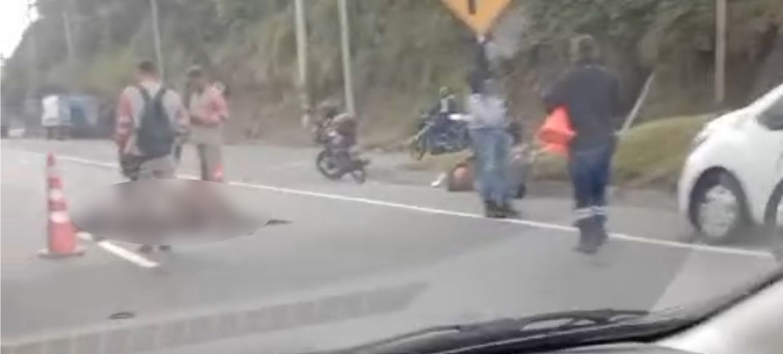 Caballo murió atropellado en la Autopista, a la altura de Rionegro