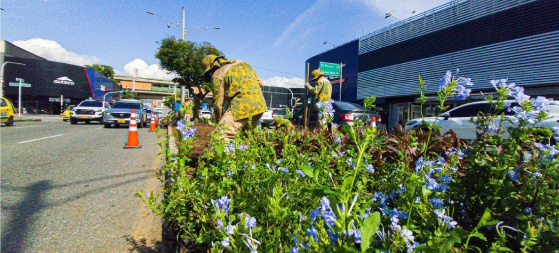 Habrá un nuevo corredor verde entre las glorietas de Exposiciones y San Diego en Medellín