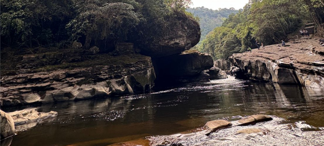 Crecimiento del 8,5 % en turismo internacional en Colombia contrasta con caída del 24,9 % en turismo local