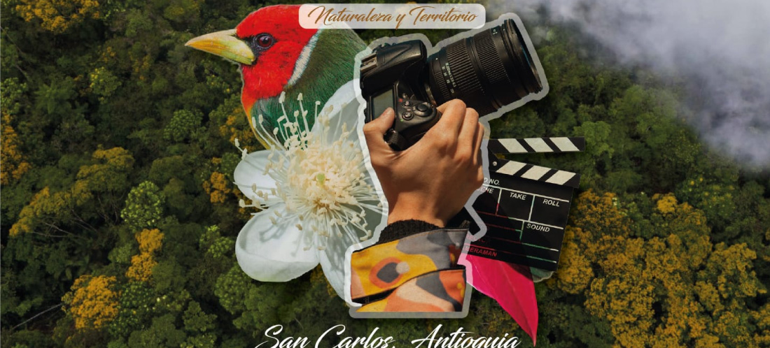 Todo listo para el Tercer Festival de Cine de San Carlos: arte, cine y reflexión sobre el territorio