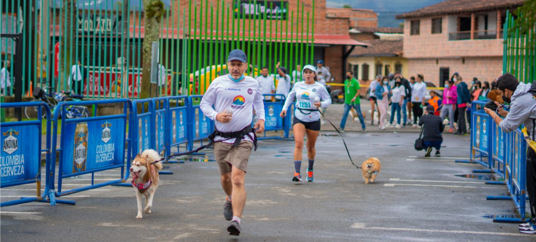 web-Ya-inscribiste-a-tu-mascota