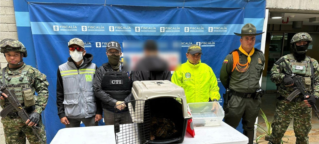 Capturado hombre en posesión de fauna silvestre, en Santa Cruz