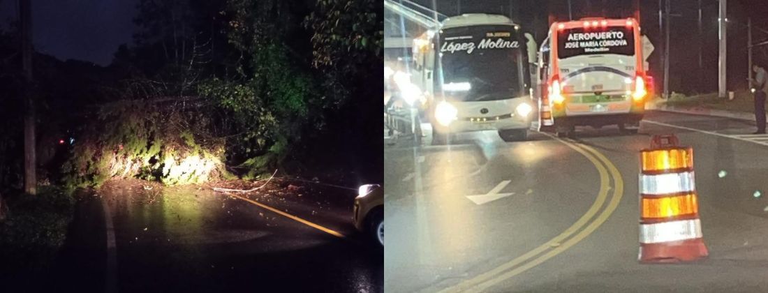 Dos vías a Oriente cerradas por caída de árbol y accidente de tránsito