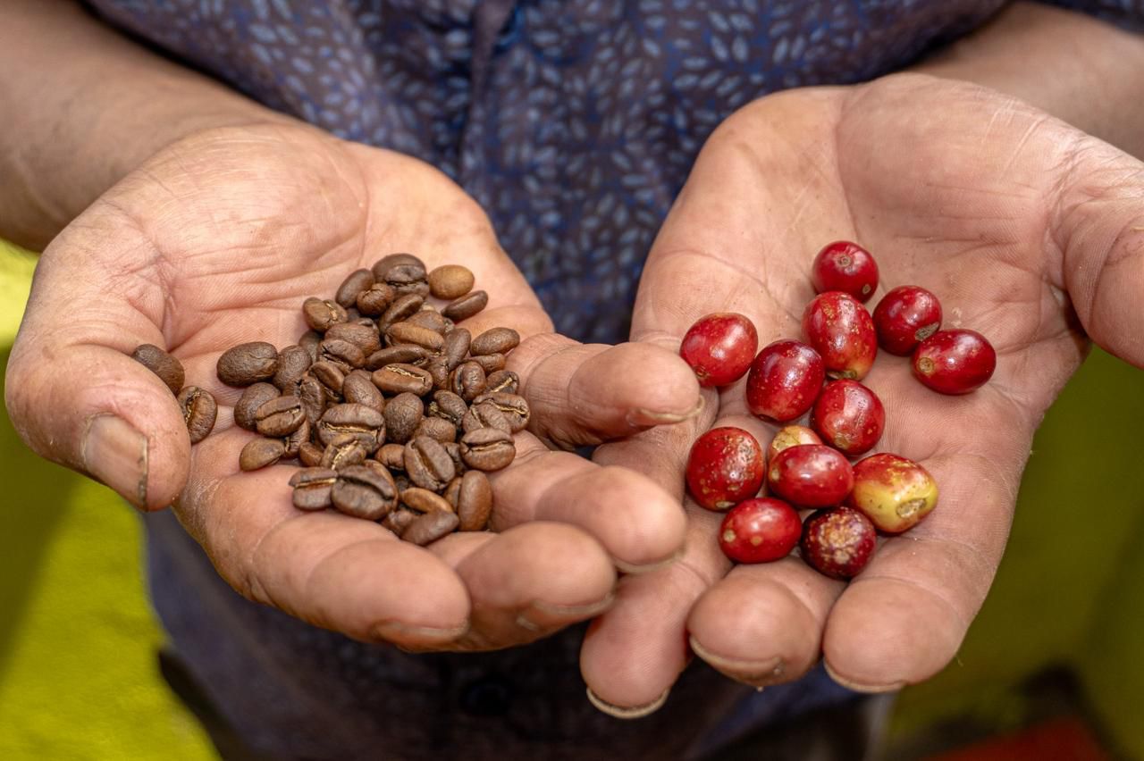 Este sábado se exhiben diferentes técnicas de extracción durante el concurso “El Retiro Huele a Café”