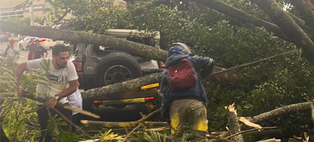 Tormenta eléctrica en Medellín provocó caída de árbol sobre vehículo en la vía Las Palmas