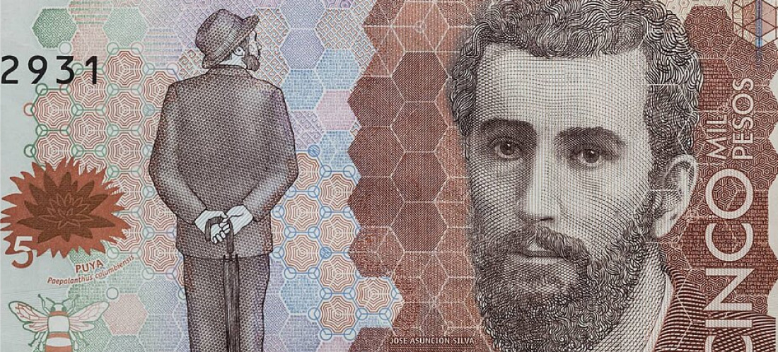 ¿Sabe por qué José Asunción Silva aparece en el billete de $5 000? Hoy se conmemora su natalicio