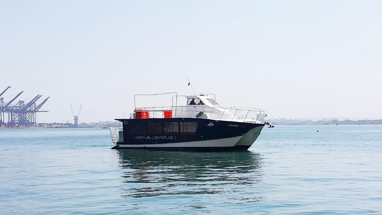 WhatsApp Image 2024-12-04 at 7.08.20 AM