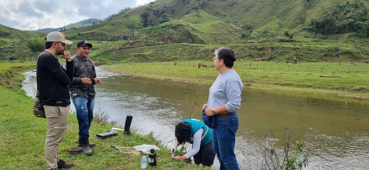 Abstenerse de pecar o consumir sabaletas: el llamado de Cornare tras mortandad de peces nativos en el río Nare