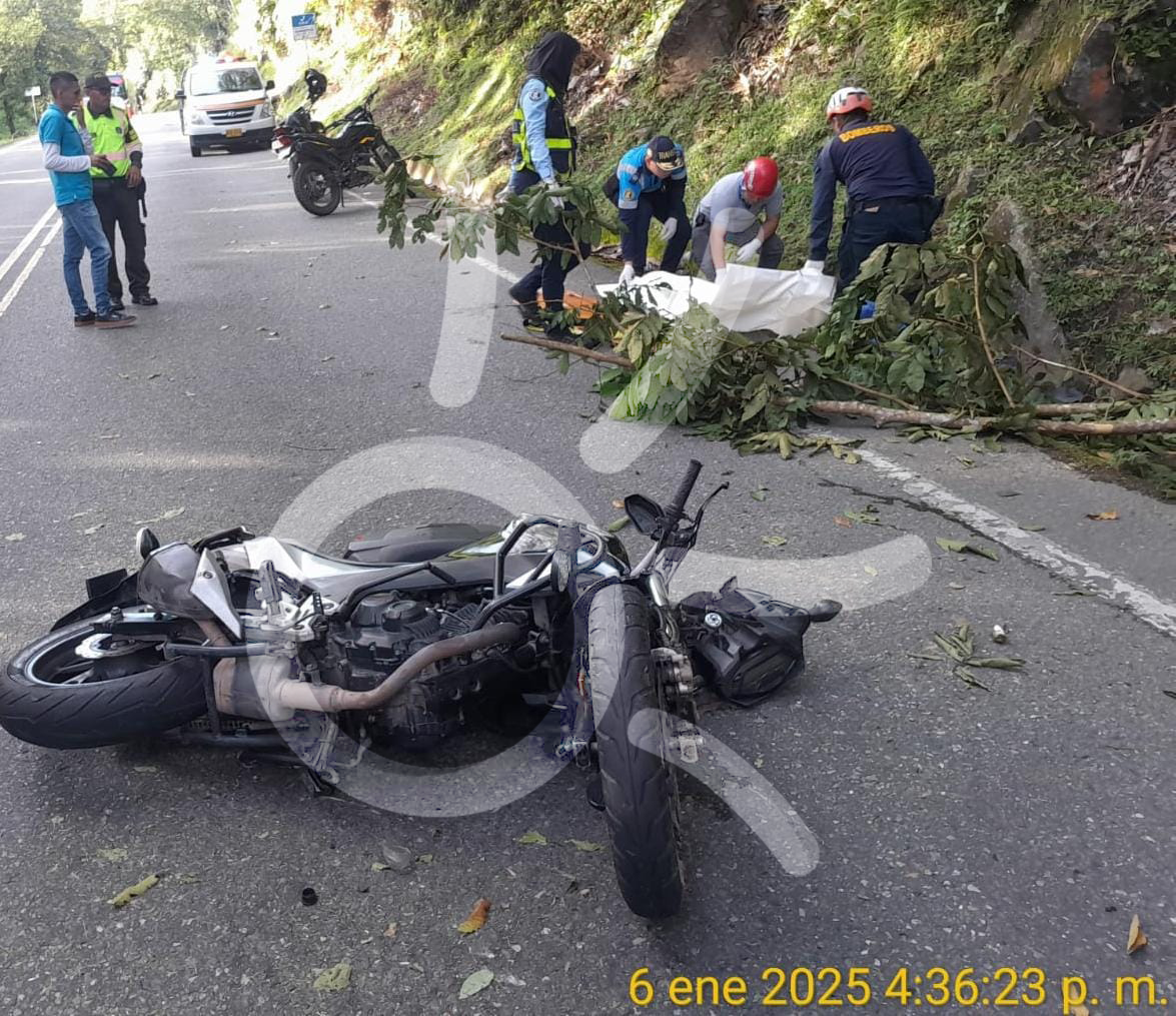 Rama de un árbol cayó sobre motociclista y le causó la muerte en la Autopista Medellín-Bogotá