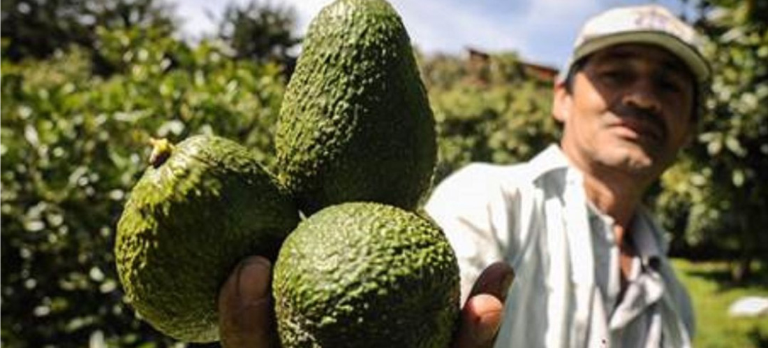 web-Advierten-devastadores-efectos-en-la-economía-de-Antioquia-por-aumento-en-precios-de-aranceles