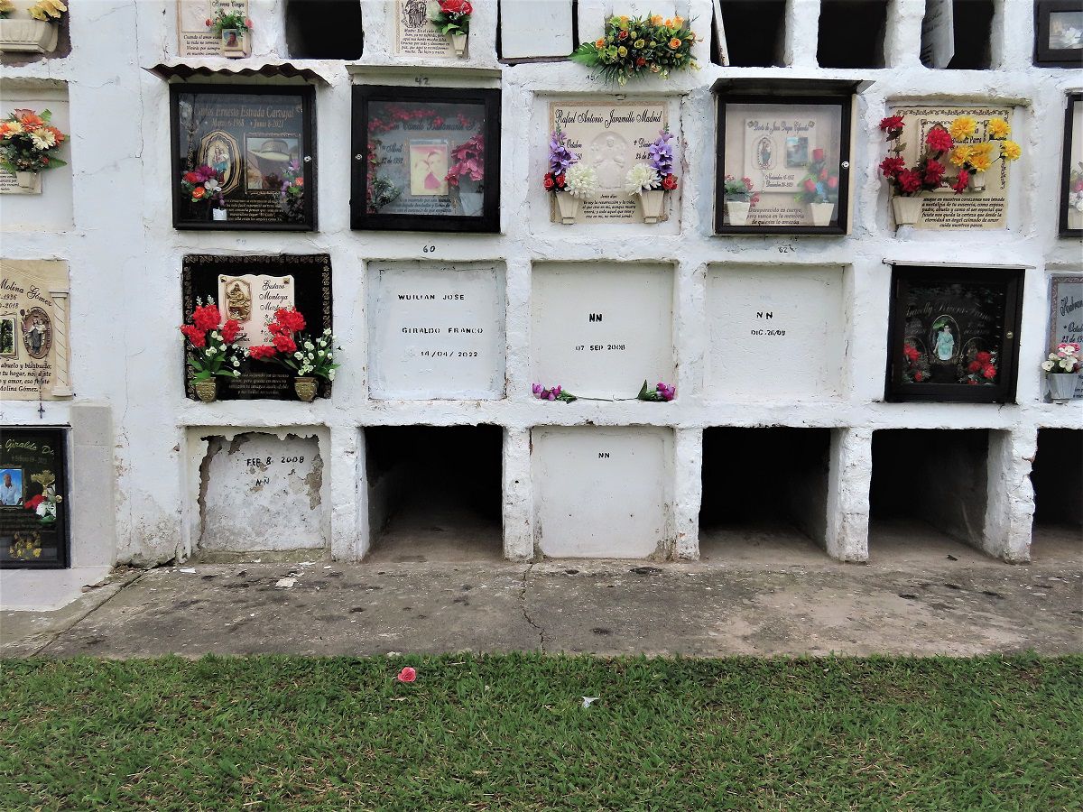 WhatsApp Image 2025-02-11 at 6.28.53 AM