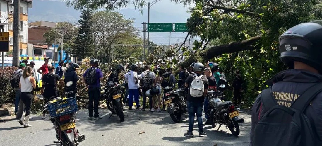 WhatsApp Image 2025-02-13 at 9.42.37 AM