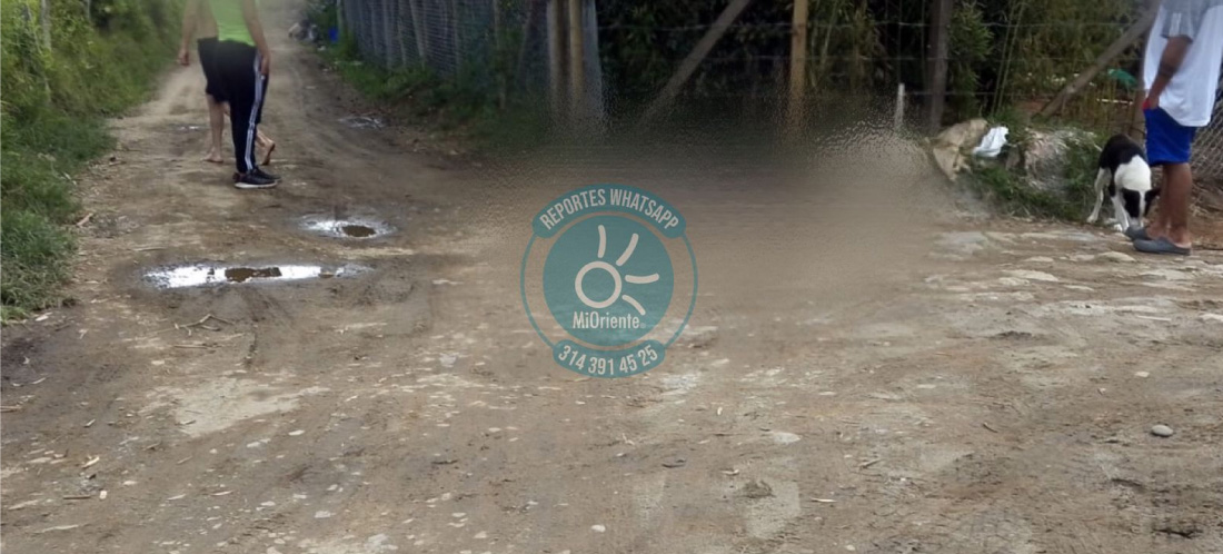 web-homicidio-la-region