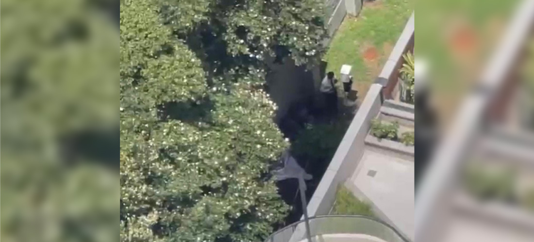 web-niño-piso-25-medellin