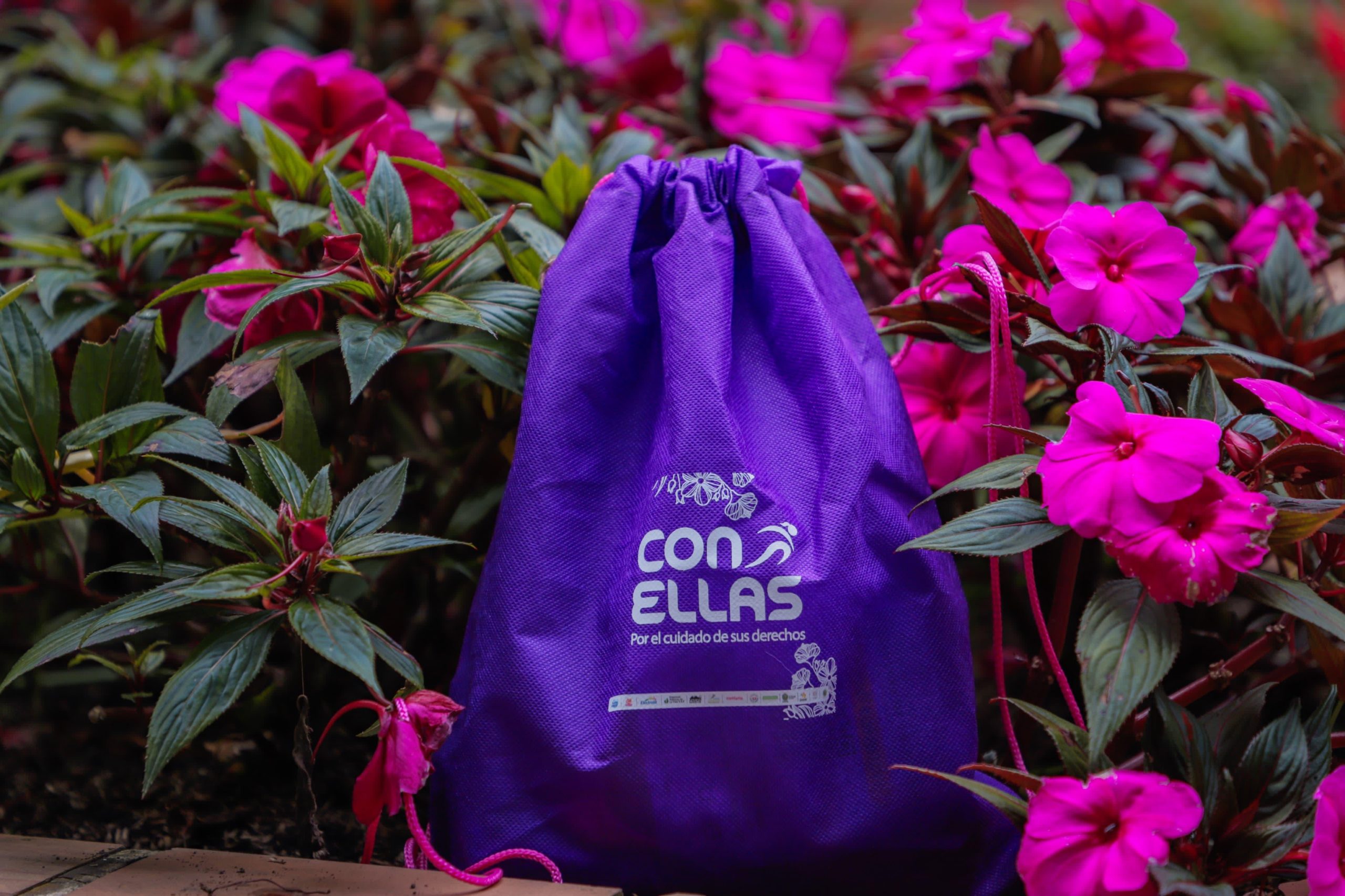 0e74a6b6-1cbe-4dfb-99f0-8c0b00e8a66c