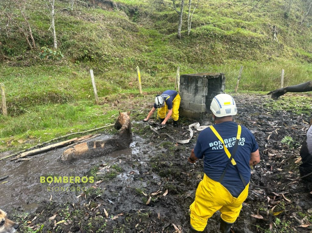 IMG 20250308 WA0007