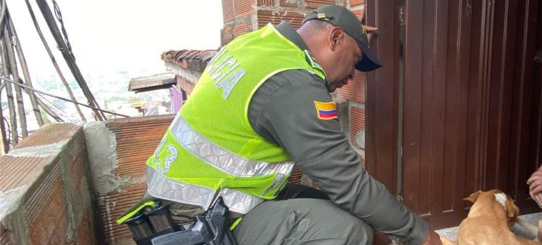 Alcaldía de Medellín rescató a perro en riesgo en Manrique