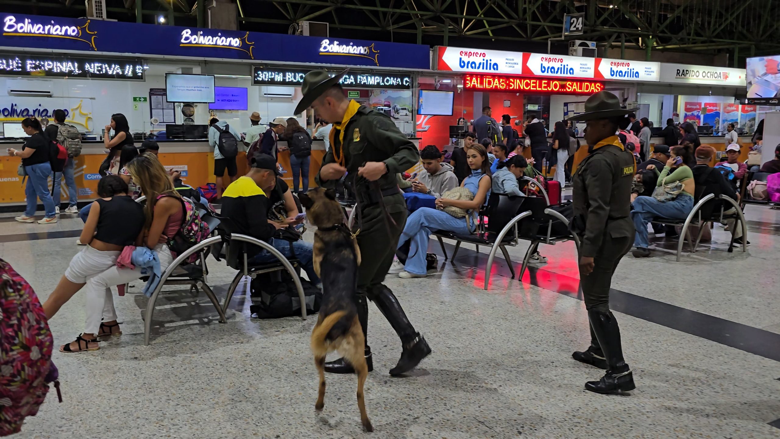 La Policía Nacional refuerza controles contra el tráfico de fauna silvestre durante la Semana Mayor en Antioquia