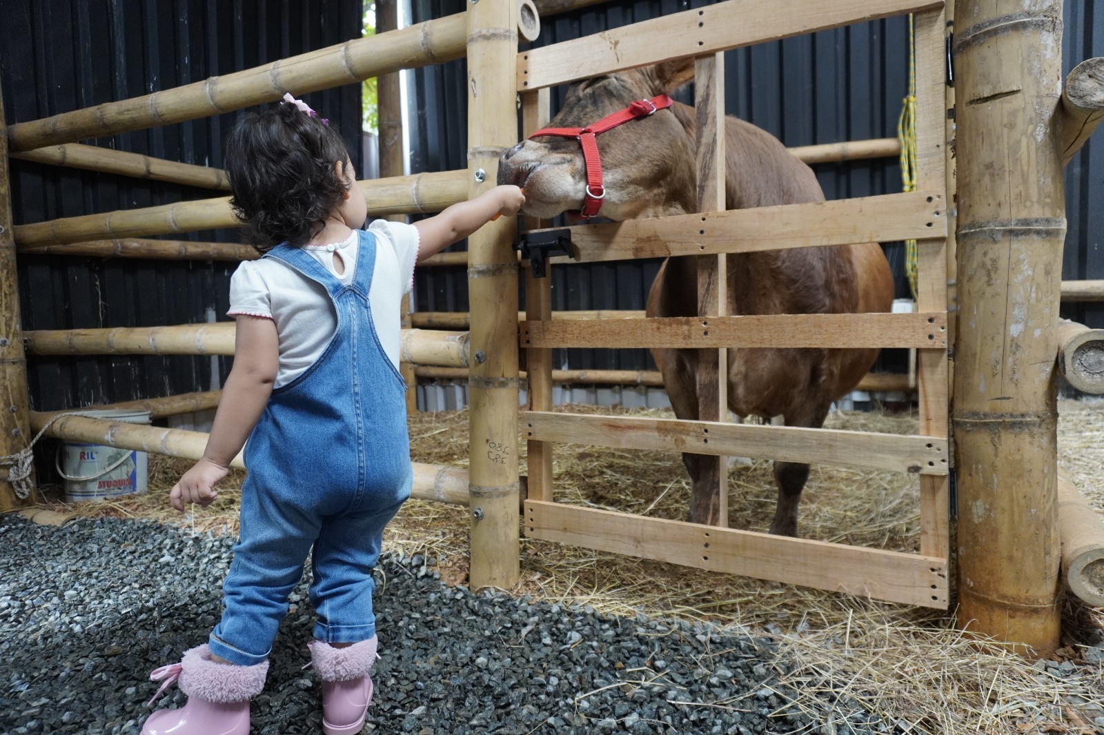 WhatsApp-Image-2025-04-22-at-6.23.14-AM-2