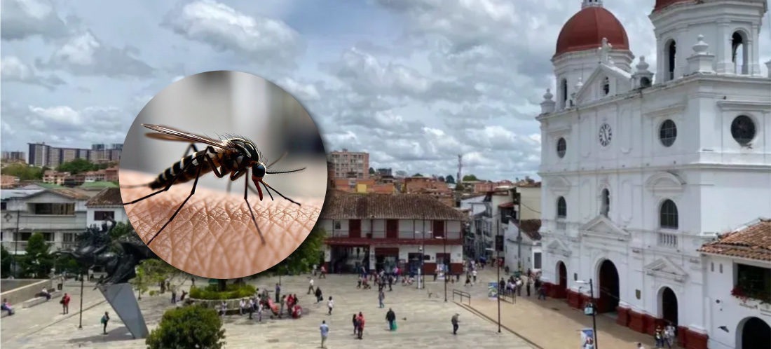 ¿Dónde vacunan contra la fiebre amarilla en Rionegro? Hay siete puntos