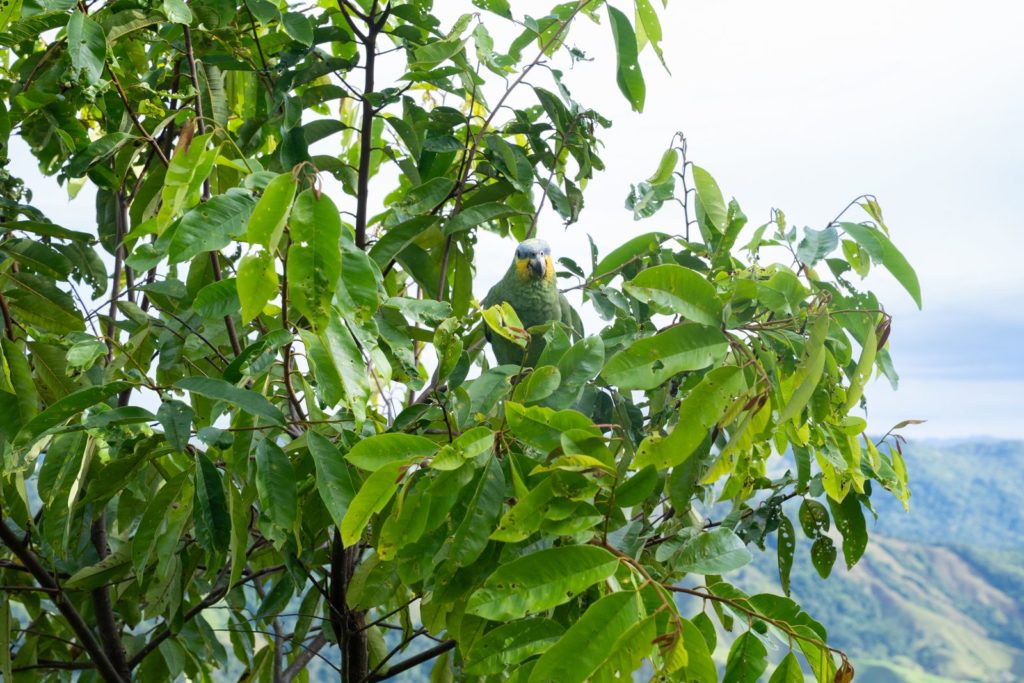 IMG 20250522 WA0115