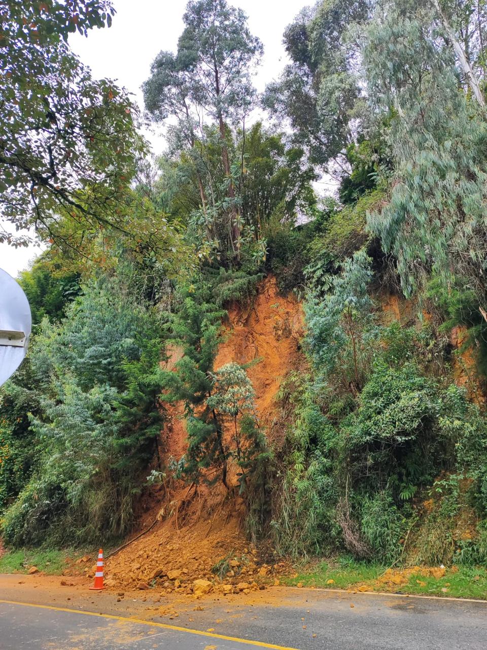 En video: cierre total de la vía La Ceja-Don Diego por deslizamiento y caída de árbol