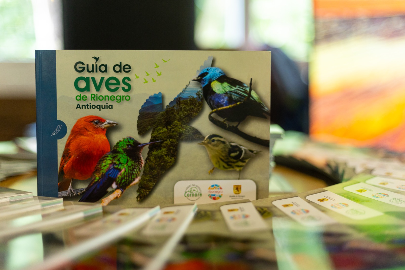Rionegro tiene ya una guía con más de 160 especies de aves para fortalecer la educación y el turismo ambiental