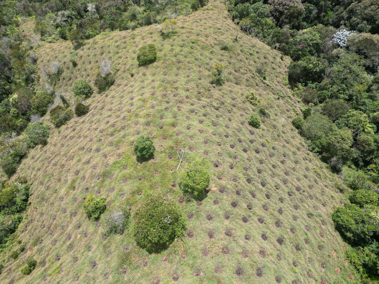 Gobernación de Antioquia invita a los municipios a postular predios para reforestación y protección de fuentes hídricas