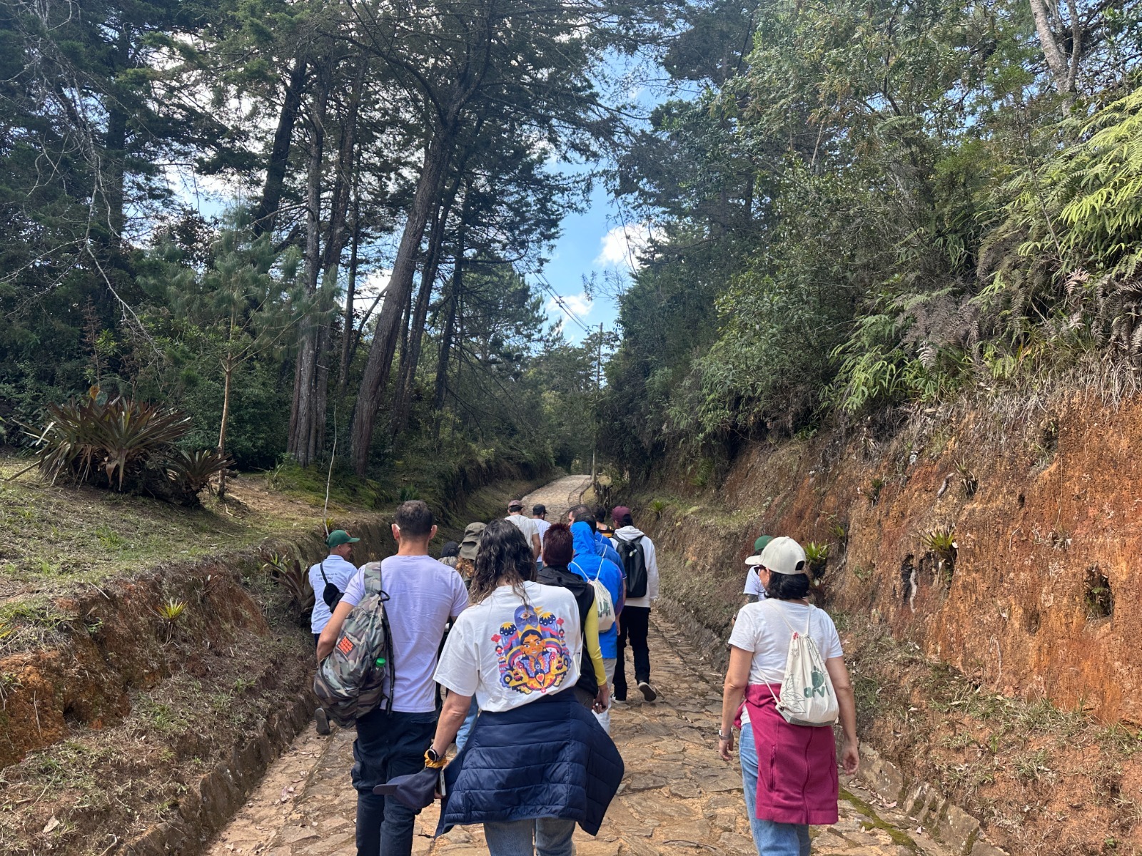 Parque Arví amplía su apertura a los lunes y lanza descuentos en senderismo para atraer más turistas