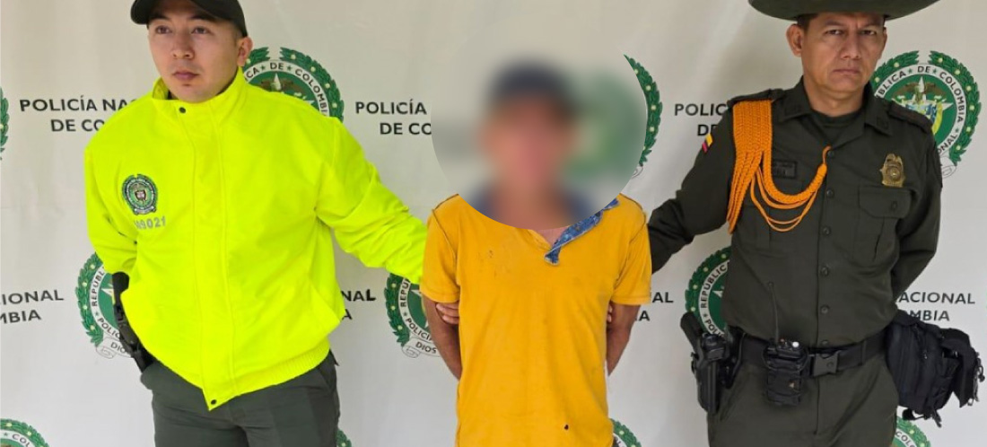 web captura