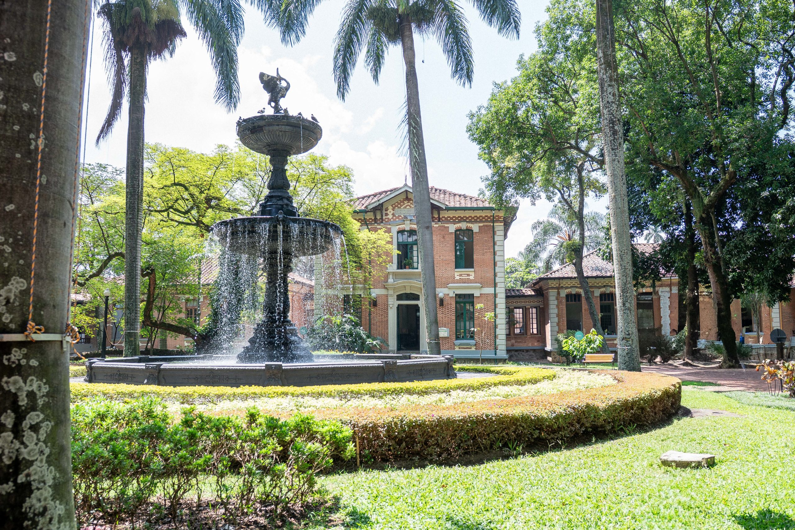 Con más de 550 árboles, el Hospital San Vicente Fundación Medellín integra espacios verdes como terapia para sus pacientes