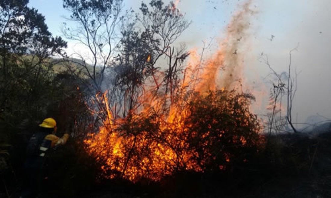 “Ahora el riesgo es de incendios forestales”: director del Dagrd sobre transición a la temporada seca