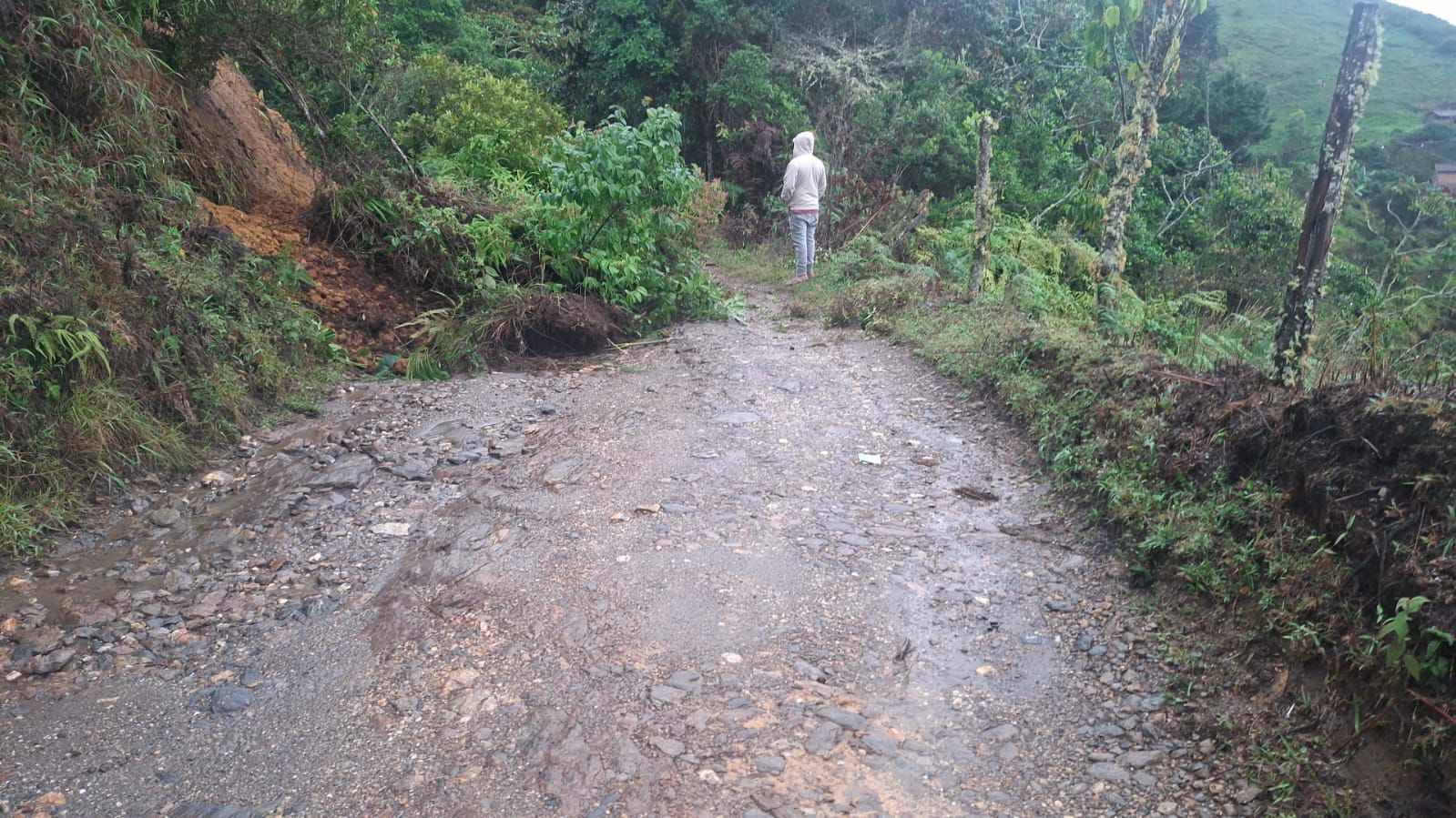 ¡Atención! Cinco vías de Abejorral están afectadas por las fuertes lluvias