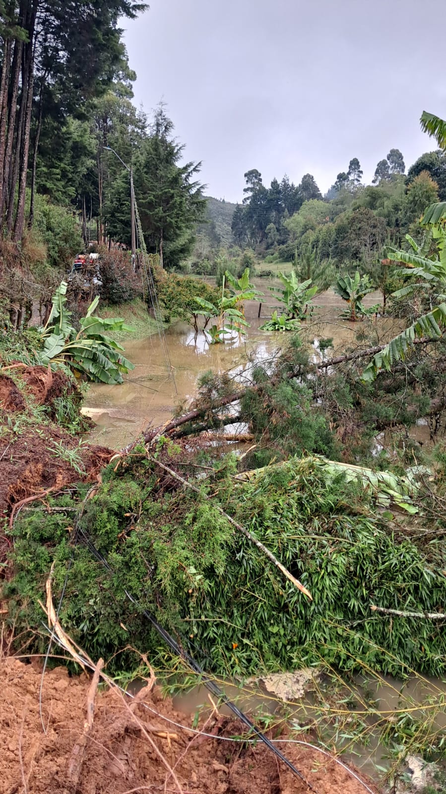 El invierno golpea a Guarne: varias vías y viviendas resultaron afectadas
