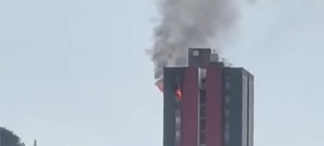 Lamentable: cinco mascotas fallecieron por incendio de un apartamento en Robledo
