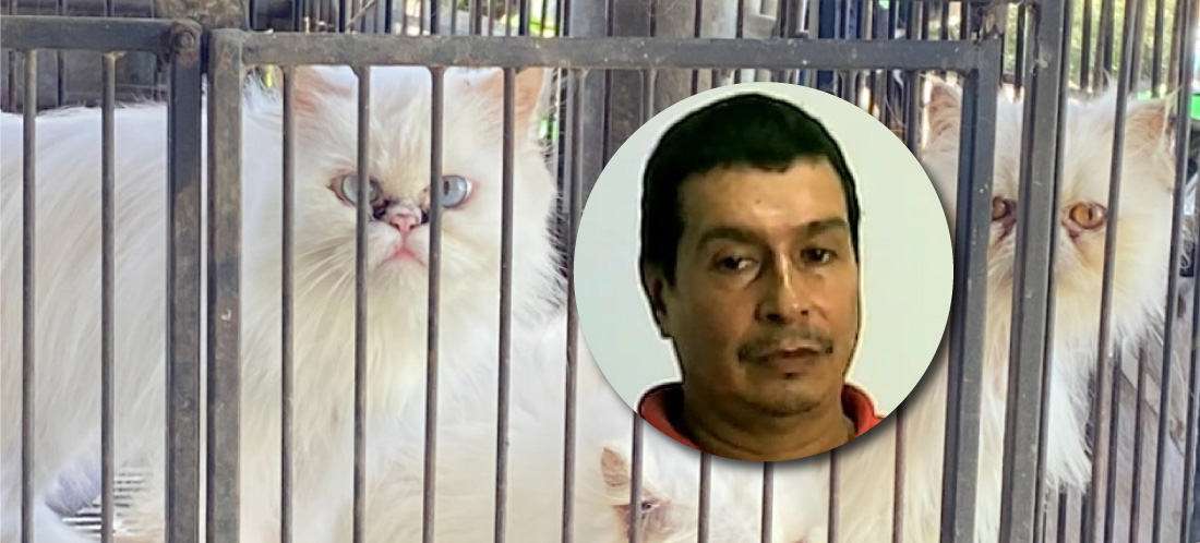 Judicializaron a hombre por tener en cautiverio y en precarias condiciones a 15 animales domésticos y silvestres