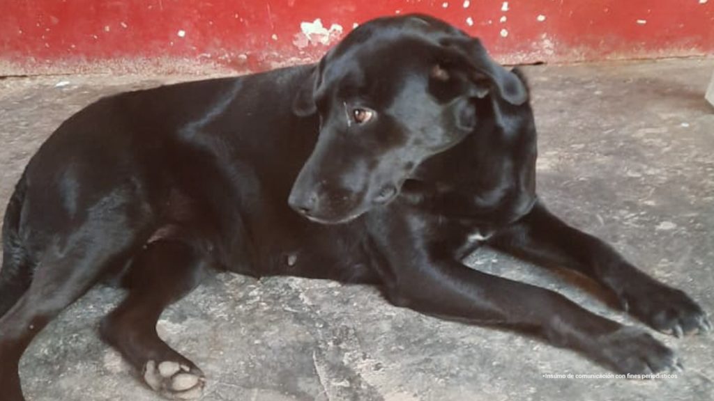 WhatsApp Image 2025 07 14 at 6.20.42 AM